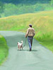 I had in mind that this painting for a dear friend's book, "Looking Through the Rain." would hopefully evoke the author's love of the Virginia countryside. It was published as a wraparound book cover by his friends posthumously so it meant a great deal to me to do justice to his writing. That's Duane, the author, walking his little pup, Teddy who I'm guessing misses Duane very much, as we all do.